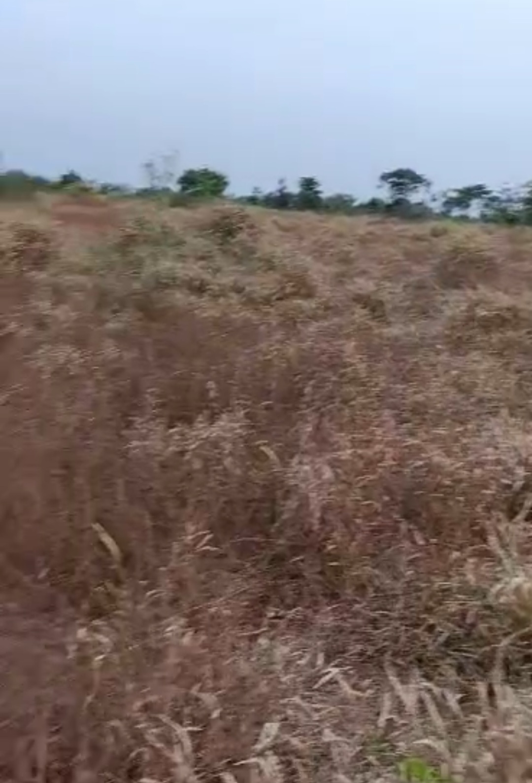 Campus Garden Estate land for sale in Port Harcourt