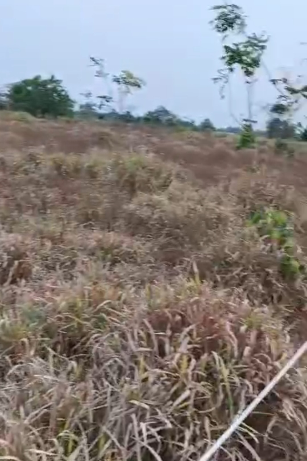 Campus Garden Estate land for sale in Port Harcourt