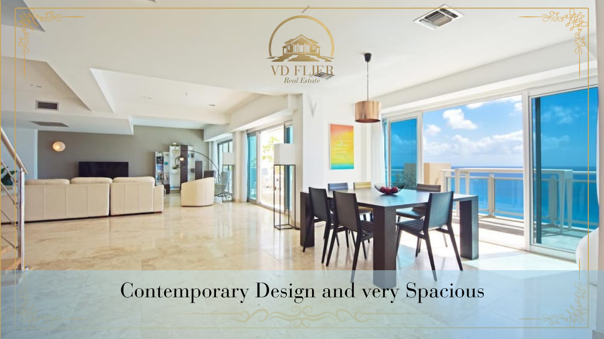 Expansive Contemporary Living Spaces